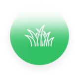 Residential lawn installation