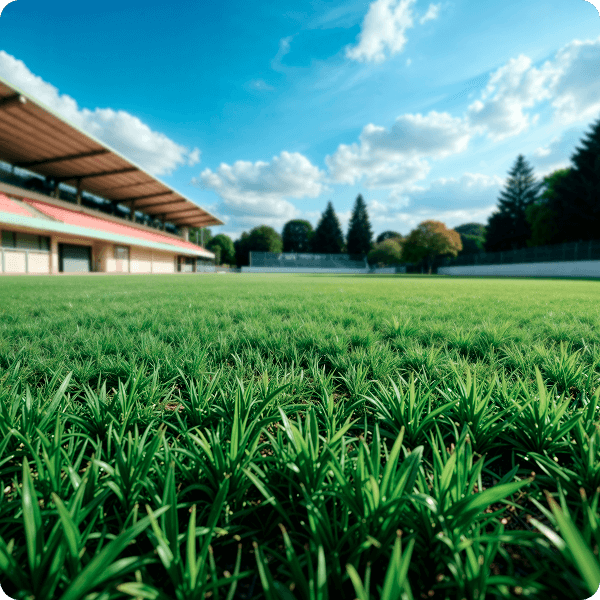 Why Choose Our Turf Services